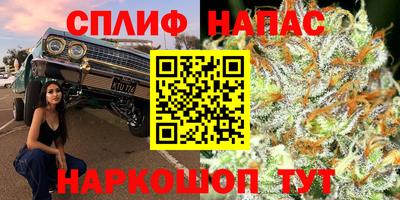 спиды Белореченск